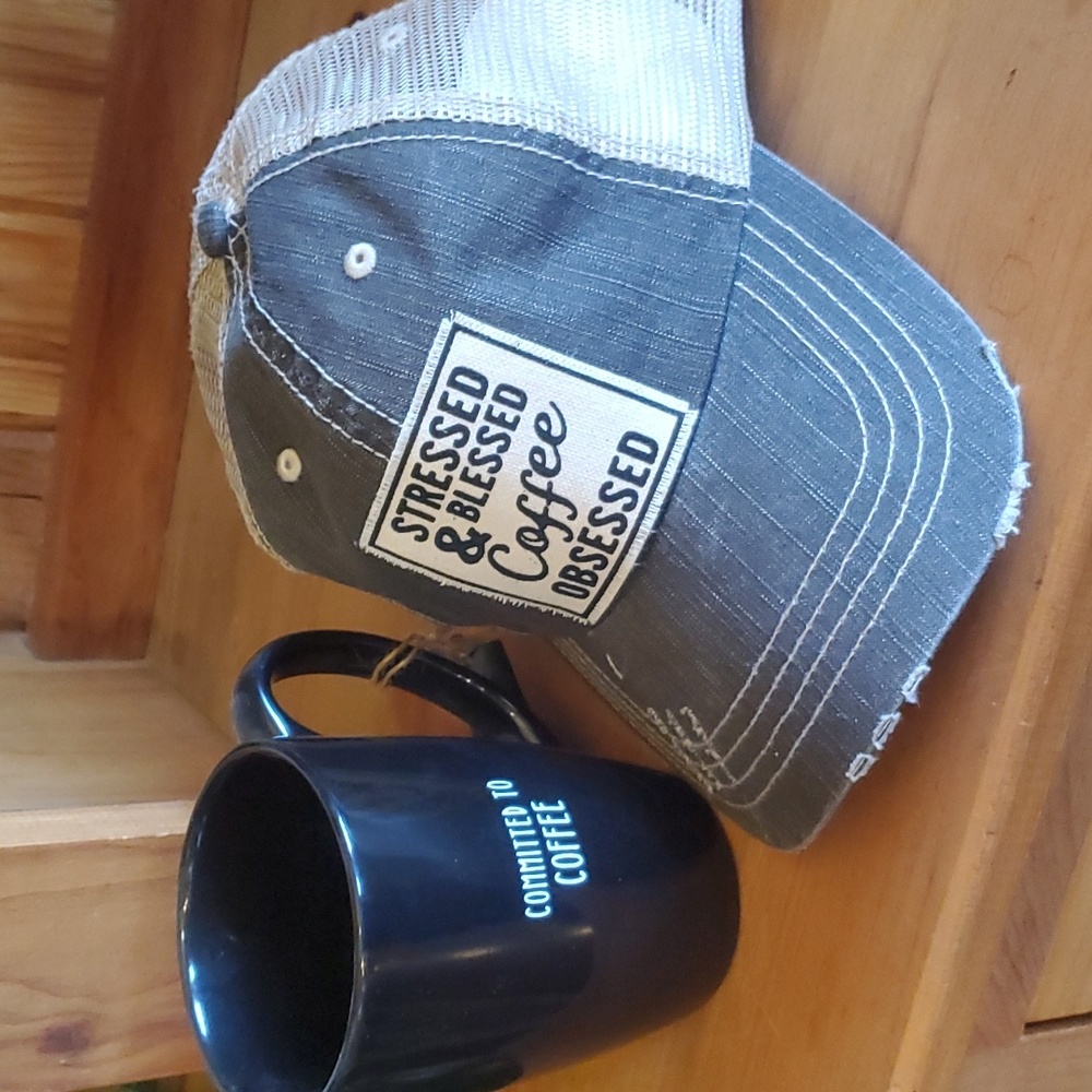 Distressed Denim Truckee Cap